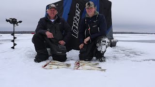 Red Lake Early Ice Walleyes 2024 We Crushed Them [upl. by Serolod]