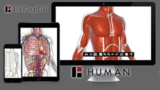 Google Earth for the Human Body [upl. by Livvi]