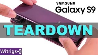 Samsung Galaxy S9 Teardown  Galaxy S9 Repair Guide  Disassemble [upl. by Acisse315]