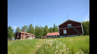 Eritreanska föreningen i Umeå [upl. by Euqinwahs]