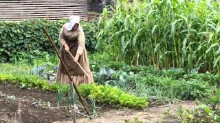 Firestone Farm  Kitchen Garden 072814 [upl. by Kenaz]