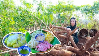 Harvesting Cassava Root  Make Tapioca Cake How to Cooking Tapioca Jam  Phượngs Country Life [upl. by Thilda327]