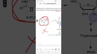 antimetabolite  pyrimidine analogs [upl. by Candless]