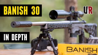 INDEPTH BANISH 30 MultiCal Suppressor from Silencer Central [upl. by Umberto]