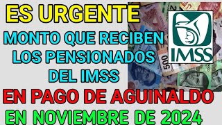 Excelente noticia Esta es la cantidad que recibirán los pensionados del IMSS como aguinaldo en [upl. by Attinahs]