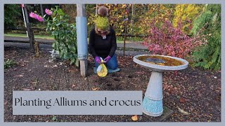 “Planting Alliums amp Crocus for a Beautiful Spring Bloom [upl. by Etireugram]