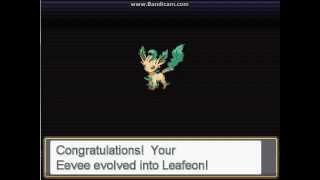 Pokemon RebornEevee evolve into Leafeon [upl. by Jillayne]