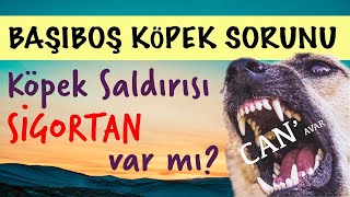 Köpek Saldırısına Karşı Sigortan Olsun Başıboş Köpek Sorunu [upl. by Merna]