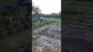 Tips for Growing Vegetables in Small Spaces  Modern Agricultural Practices [upl. by Nediarb]