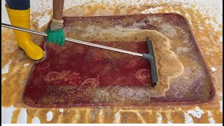 Satifying carpet cleaning Cleaning dirty carpet Amazing Transformation [upl. by Rosse63]