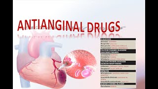 Antianginal drugs  Pharmacology Lippincott Illustrated Reviews Series [upl. by Edrahc458]