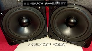 Sunbuck AV298BT  Woofer test [upl. by Appleton]