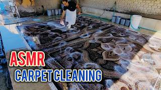 Relaxing carpet cleaning  Satisfying carpet cleaning ASMR [upl. by Gorski]