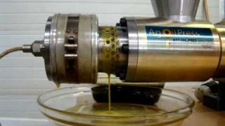 Flax Seed Oil Extraction Full Speed [upl. by Nus]