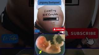 A baby developing in the womb  development of a fetus  pregnancy baby ultrasound fetus [upl. by Gundry]