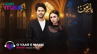 YaareMann Official OST  O Yaar E Mann Lyrics  Amanat Ali  Green TV Music [upl. by Slack]