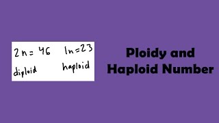 Ploidy and Haploid Number [upl. by Ilenna]