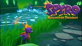 Spyro Reignited Trilogy  Spyro the Dragon 120 Walkthrough Part 20  Terrace Village [upl. by Adile589]