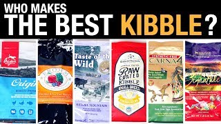 The Pet Food Kibble Review [upl. by Ynohtnaleahcim]