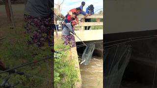 Village Woman Using Scoop Net on Stream Water Ep03 Nimitt Fishing video short fishing outdoors [upl. by Amapuna918]