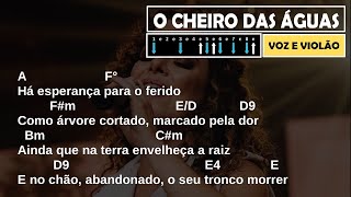 O CHEIRO DAS ÁGUAS  Diante do Trono quotVoz e Violãoquot  Cifra Simplificada [upl. by Maurita]