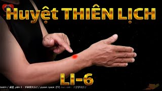 LI6  Huyệt Thiên lịch  Kinh Thủ dương minh đại trường  ACUVI [upl. by Rosenberg]