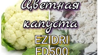 Цветная капуста в сушилке EZIDRI FD500 0620 5AFamily [upl. by Jairia485]