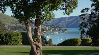 Akaroa Top 10 Holiday Park [upl. by Aidan]