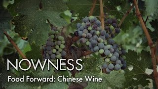 Food Forward Chinese Wine [upl. by Filipe]