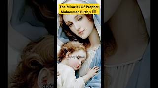 The Miracles of Prophet Muhammads Birth ﷺ shorts islamicvideos historyofislam [upl. by Thirzi]