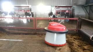 2 Lely A4s Lely Discovery amp Lely Juno hard at work [upl. by Pius]