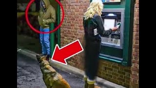 Shocking ATM Footage Dog’s Terrifying Action Against Attacker [upl. by Anyk430]