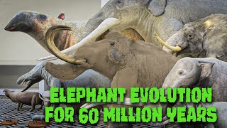 Evolution of Elephants in 3D  The fascinating from 60 million years ago [upl. by Katey]