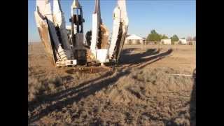 Mature Pecan Tree Transplanting  Hole Preparation [upl. by Novi74]