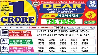 NAGALAND Lottery SAMBAD DEAR EVENING 8 PM RESULT TODAY 12112024 STATE DEAR LOTTER [upl. by Zerlina942]