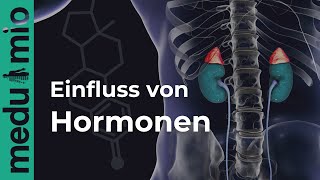 So beeinflussen Hormone Deinen Körper  Progesteron  Ungleichgewicht  Dr Annette Langer [upl. by Terrag]