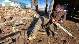 116 Cutting Firewood The Meat and Potatoes [upl. by Awjan571]