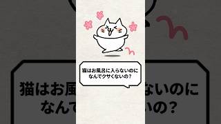 Q：猫はお風呂に入らないのになんでクサくないの？ 猫 猫との暮らし ねこ [upl. by Ydissak]