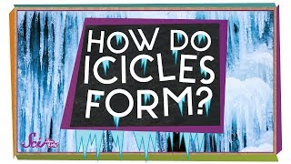 Where Do Icicles Come From  Winter Science  SciShow Kids [upl. by Kellina]