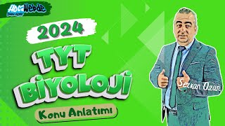 35 TYT 2024 BİYOLOJİ SERKAN OZAN BİTKİLER ALEMİ [upl. by Notlil]