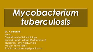 Mycobacterium tuberculosis [upl. by Kerns]