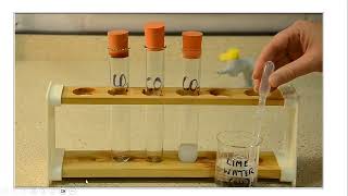 Chemical characterisitc properties [upl. by Gratianna]