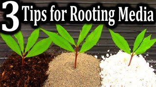 The BEST Medium for Rooting your Cuttings  3 Criteria for Successful Plant Propagation [upl. by Hobart]