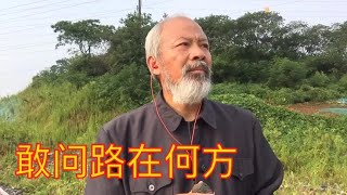 一首西游记主题歌（敢问路在何方）重温经典曲目！特别好听！ [upl. by Taran970]