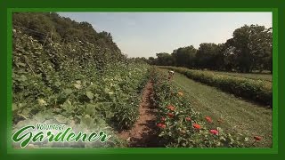 Farming On A Small Scale  Volunteer Gardener [upl. by Seravaj]