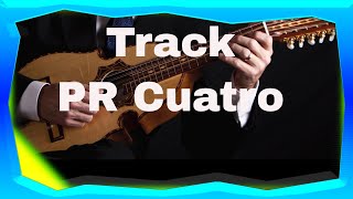 Backing Track Andalusian Cadence for Puerto Rican Cuatro Med 110 bpm [upl. by O'Neill]