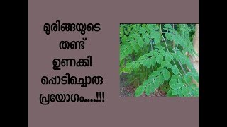 മുരിങ്ങയുടെ തണ്ട് ഉണക്കി പൊടിച്ചൊരു പ്രയോഗം തൈറോയ്ഡും പമ്പ കടക്കുംThyroidMalayalam health tips [upl. by Ulberto]