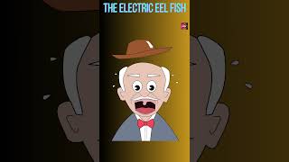 The Electric Eel Fish [upl. by Ardy]