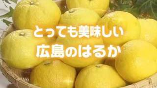 はるかの美味しい食べ方「はるカット」 [upl. by Aldin]