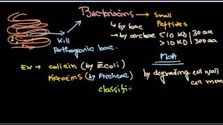 Bacteriocins introduction [upl. by Nickolai]